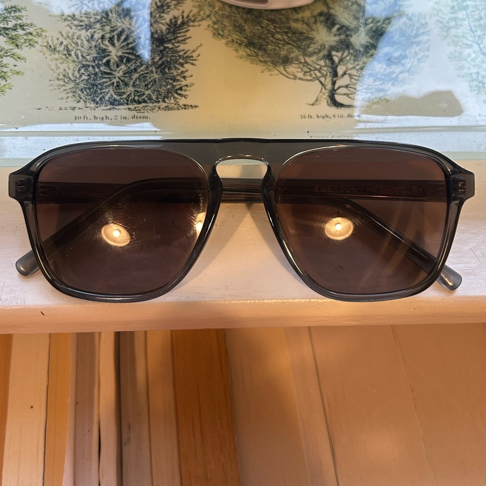 WMP Eyeware Square Frame Black and Brown Sunglasses